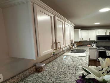 Photos by United Paint Pros LLC #1