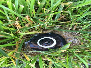 Sprinkler System Leaking