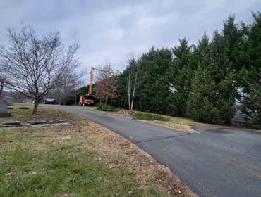 Photos by Hernandez Tree Services #23