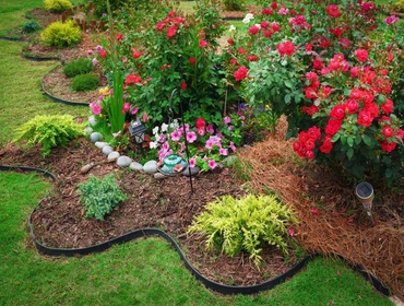 Photos by Cruz Hardscaping #1