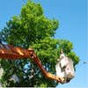 Bruggerhoff Tree Services logo