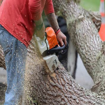 Peoria Tree Services
