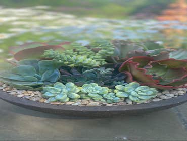 Rancho Santa Fe