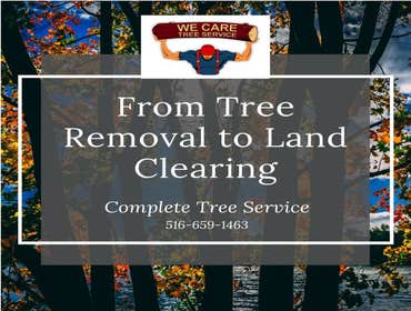 We Care Tree Services Looking for complete tree service. From tree removal to land clearing – We Care Tree Service can handle all of your tree service 