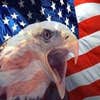 Stars and Stripes Inc logo