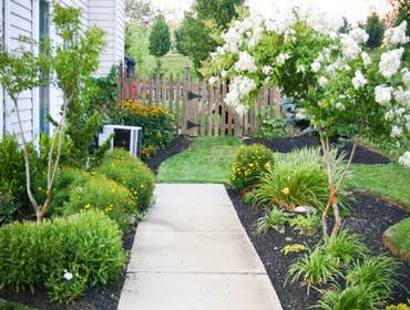 Photos by Rootstock Landscaping #1