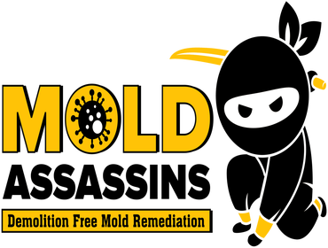 Photos by the Mold Assassins #1