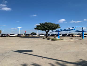Photos by K-perez Tree Services #1