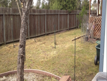 DMG Landscaping