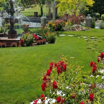 Omega Landscape Solutions LLC