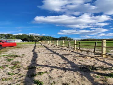 Fences