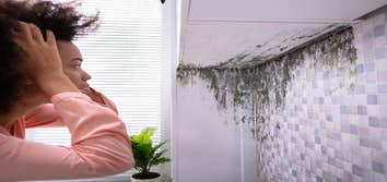 United Water Restoration Group of the Woodlands