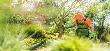 Photos by Washington Dc Tree Service Pros #1