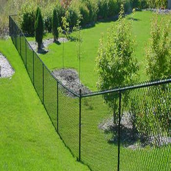 Chain Link