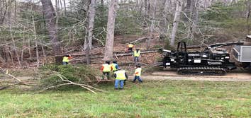 Butler Tree Service