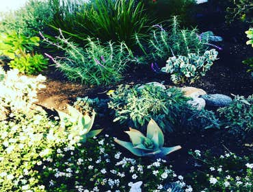 Photos by Garden Green Landscaping Inc #1