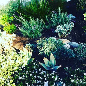 Photos by Garden Green Landscaping Inc #1