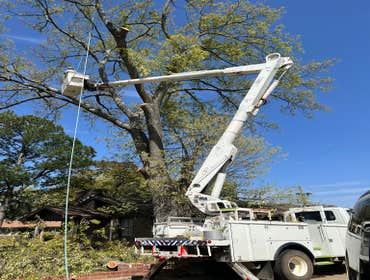 Photos by Rg Tree Services #9