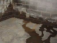 Photo(s) from Matvey Construction Inc wet basement! we can fix it!