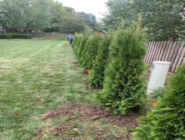 Photos by Capetillo Landscaping LLC #1