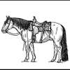 Vaquero Fence Co logo