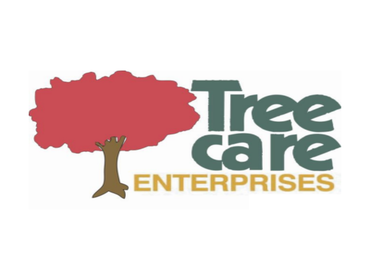 Photos by Tree Care Enterprises-lake Geneva #1