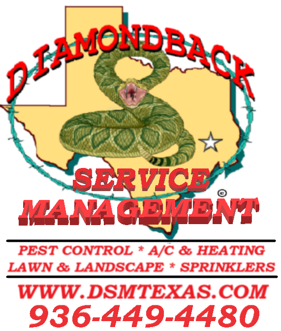 Photos by Diamondback Service Management #1