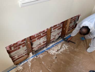 Photos by All Suburban Mold Services #1
