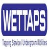 Wettaps Inc logo