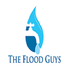 The Flood Guys logo