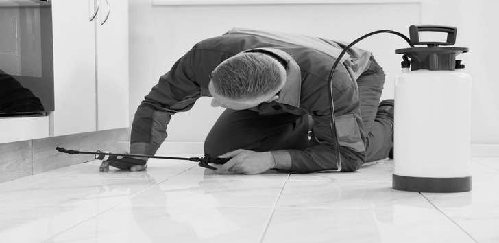 Precision Pest Control