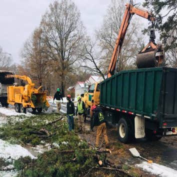 Frady Tree Care
