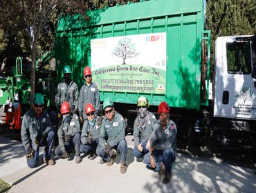 Photos by California Green Tree Care #1