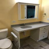 Sugar Grove, IL - Sink
