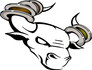 Bull Horn Electric Llc Project