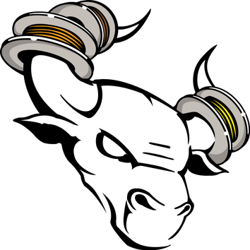 Bull Horn Electric Llc Project