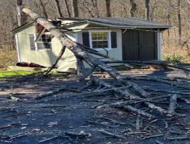 Shed Repair