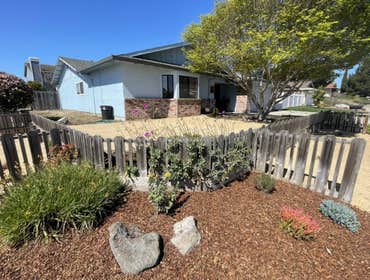 Photos by L&p Hauling Clean Up & Landscape Service #4