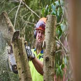 Green Leaf Tree Surgeons