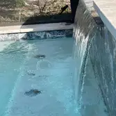 Pool Maintenance