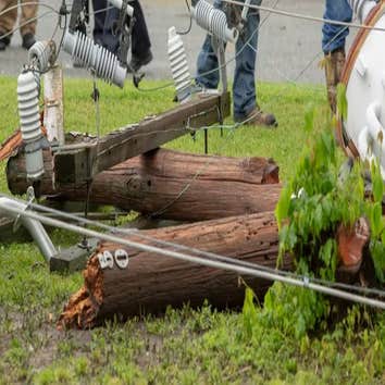Maplewood Tree Service