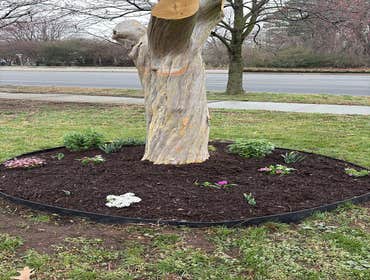 Photos by Beauty Meister Landscaping LLC #2