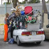 Florida or Bust! I'm out!