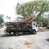 Photos