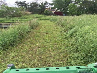 Photos by Greenpal Lawn Care of Los Angeles #1