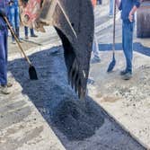 Photos by Corpus Christi Asphalt, Concrete and Paving #1 Established for several years to provide quality services in the Corpus Christi, Texas, area, 