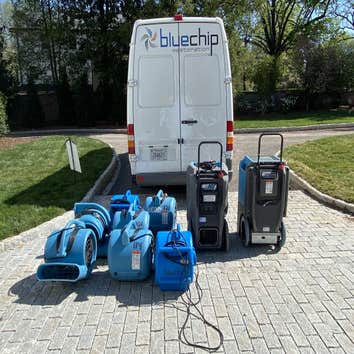 Blue Chip Restoration
