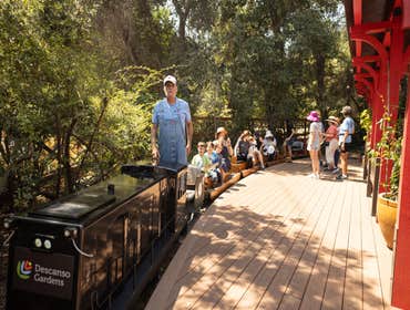 Photos by Construction Corps #3