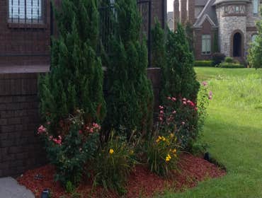 Back yard Landscape