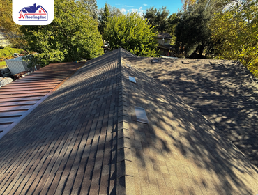 Malarkey Shingles